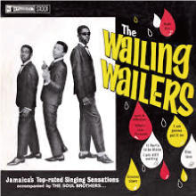 強化買取ジャケット 09