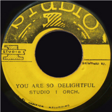 強化買取ジャケット 25