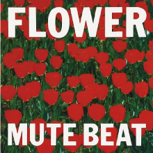 強化買取ジャケット 29